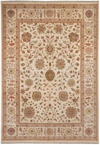 New agra transitional - x,